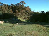 Agulhas Negras - National Park Of Agulhas Negras