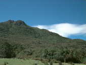 Agulhas Negras - National Park Of Agulhas Negras