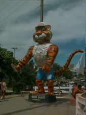 Guarapari - Tiger of Guarapari