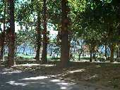 Rodrigo de Freitas Lagoon - Ciclovia (Lagoa)