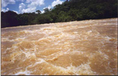 Rafting in Paraibuna River - Rafting in Paraibuna River