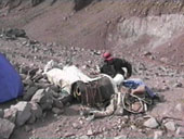 Aconcagua Trip - Confluencia
