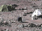 Aconcagua Trip - Plaza de Mulas