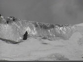 Aconcagua Trip - Aconcagua