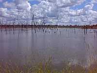 Across Americas - Aventura de Moto - Porto Velho